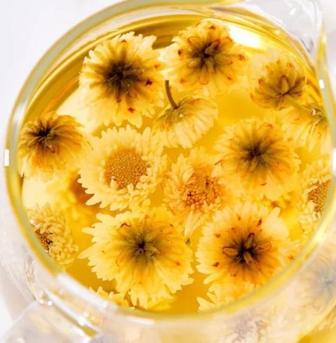 Chrysanthemum Tea 菊花茶
