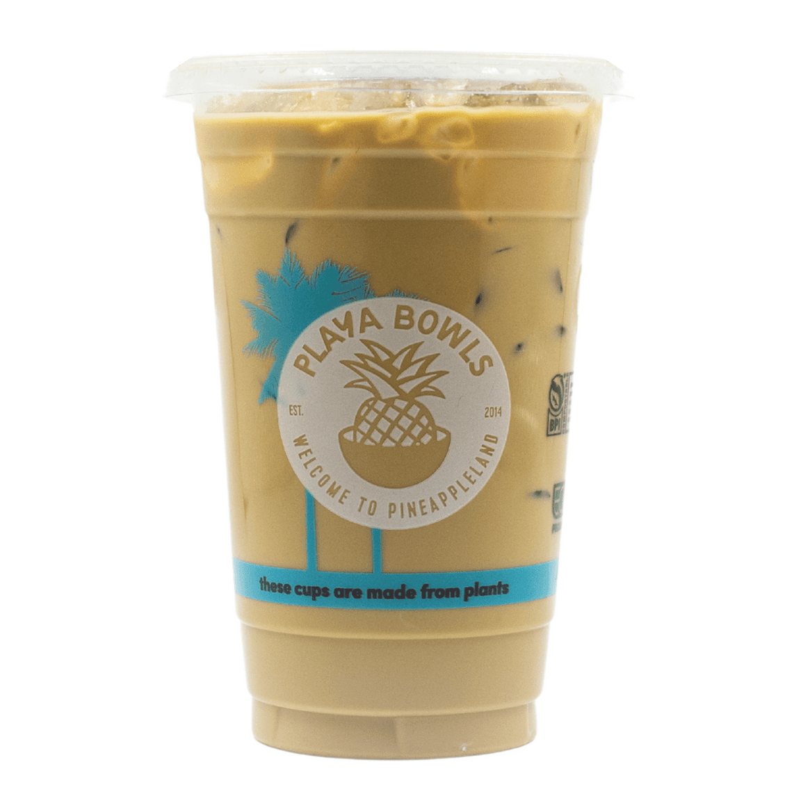 Sweet Cream Cold Brew 16oz