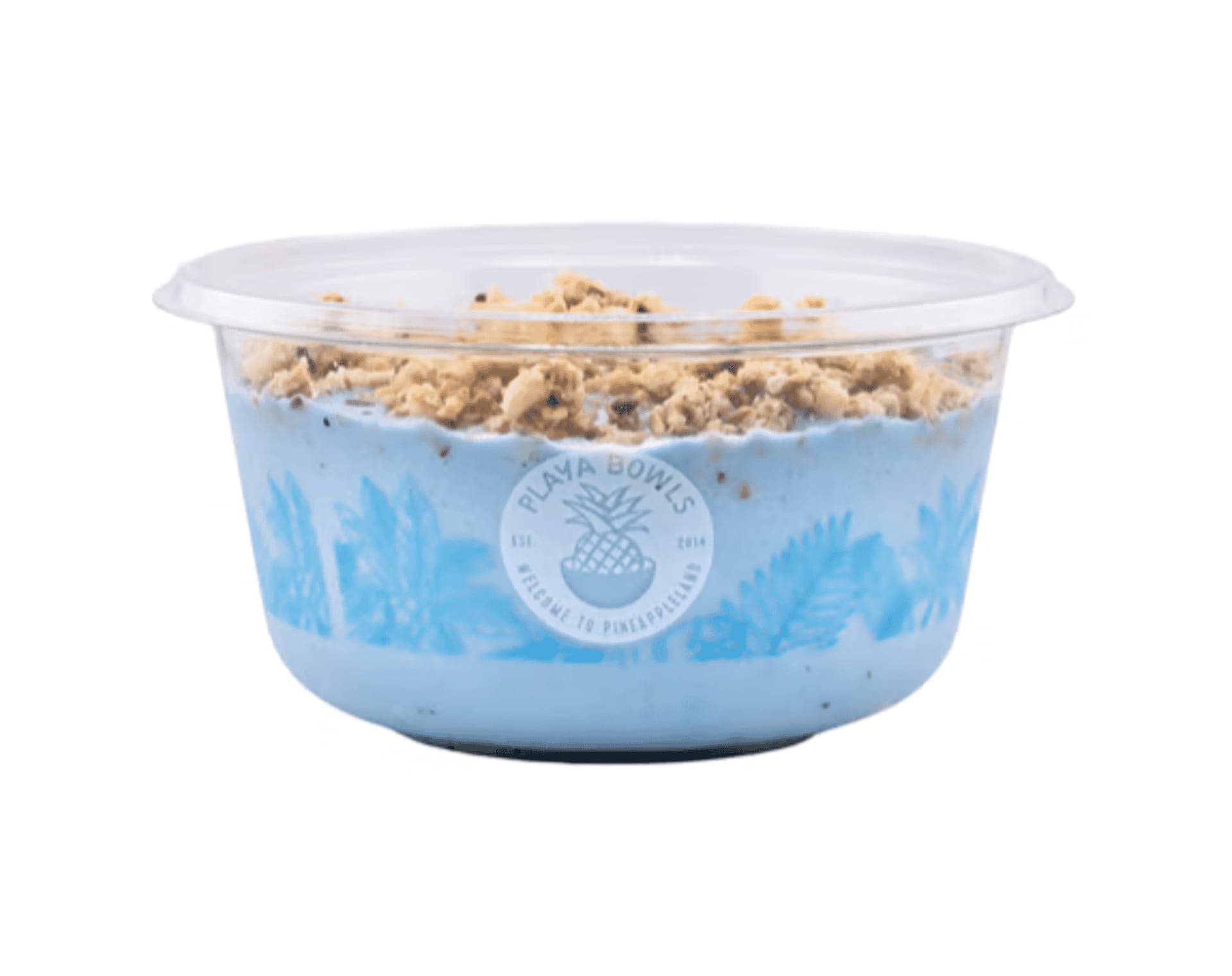 Custom Blue Spirulina Bowl- Includes Granola