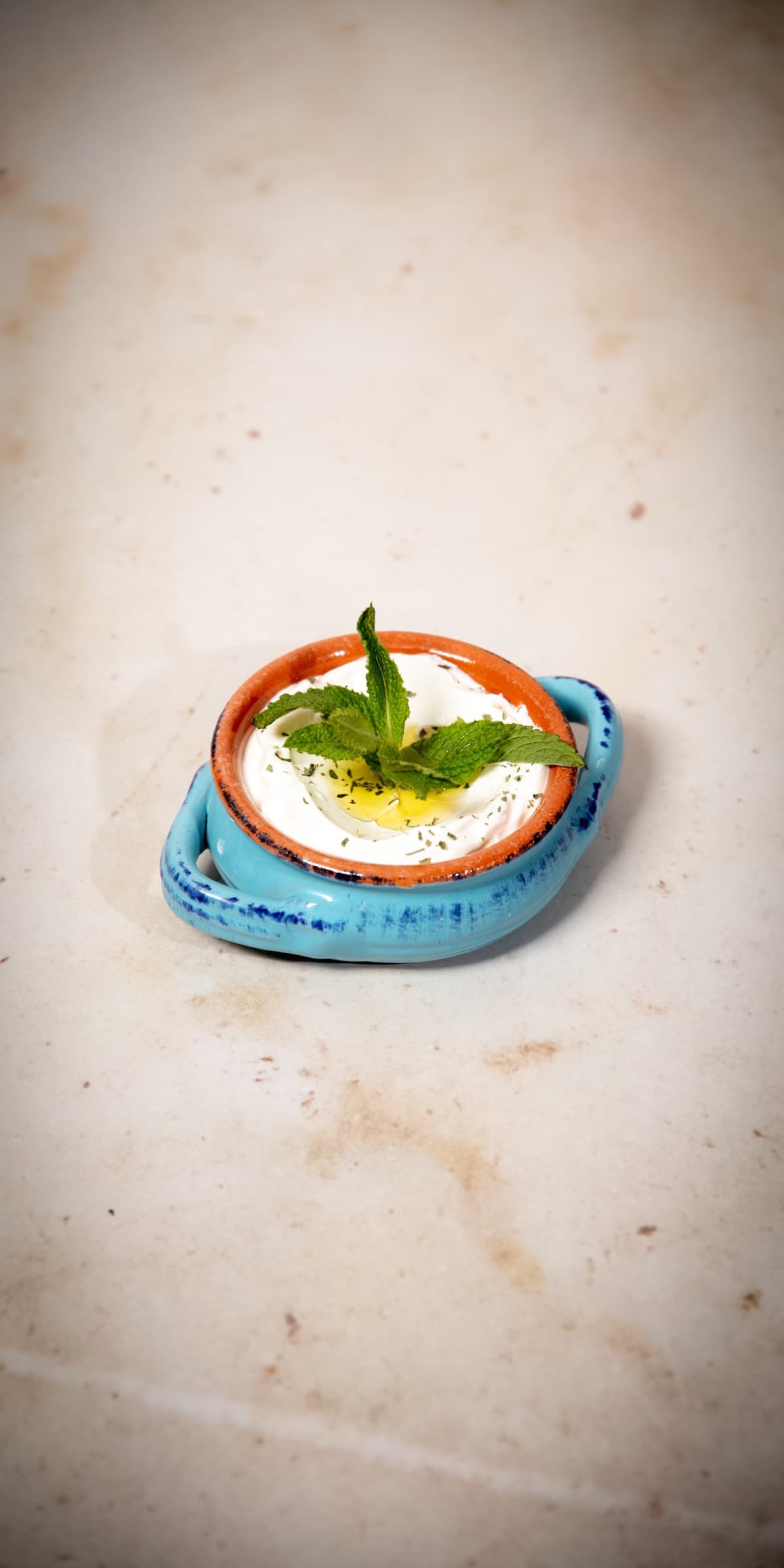Labneh Bel Toum